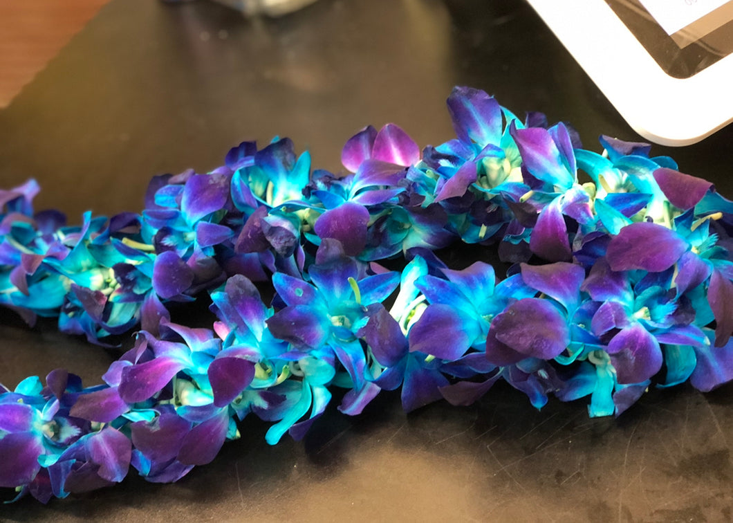 Blue Orchid Lei